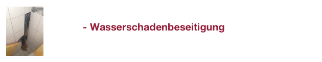               - Wasserschadenbeseitigung